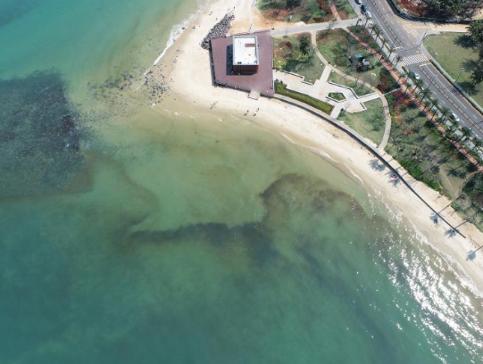 赤潮期间能吃海鲜吗?能下海游泳吗?何时消散?专家回应来了→