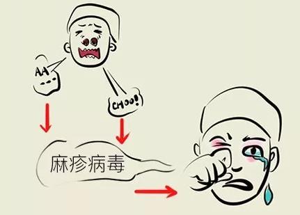 世卫组织：今年全球麻疹病例超过44万