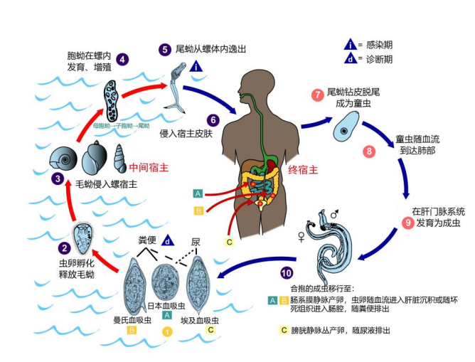 b5b31435ee2d2a45fd2f08af25844ef5.png