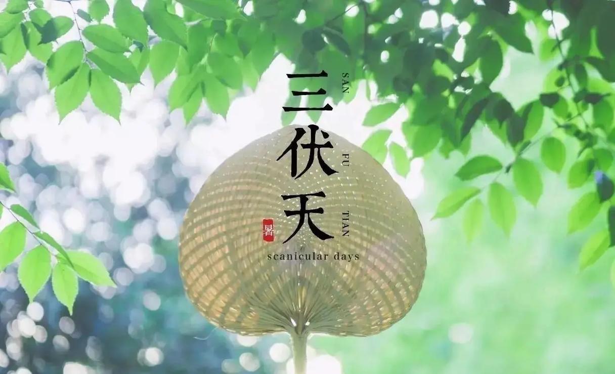 三伏将至，这是最能把身体的寒气排出来的30天！“8做8不做”请收好