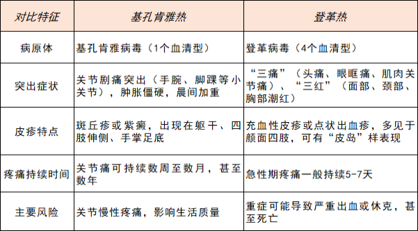 49bf851b1943de91398a170370e5710c.png