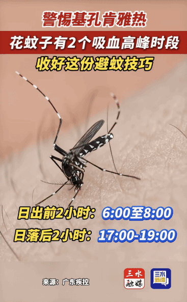 4d07571a4c23d7f530e866d6aa9cd884.jpg