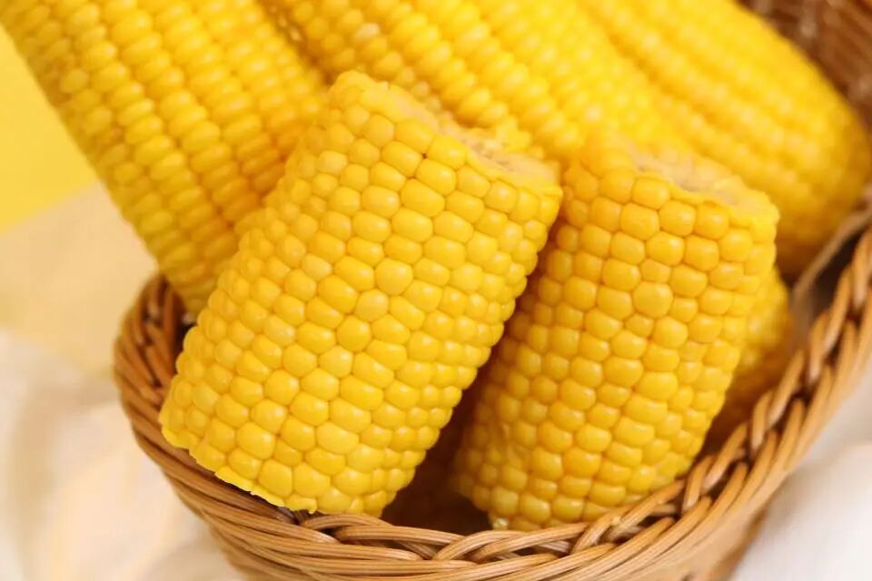 753eb465c424a40e069a4afd8a9de038.jpg