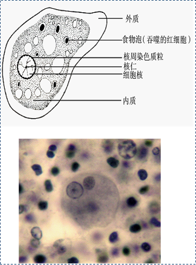 fb19d450ea658389b12a086a194e1265.png