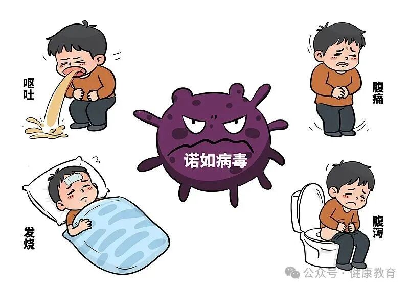 【关注】警惕诺如病毒：传染性强、全人群易感？这些知识要牢记······