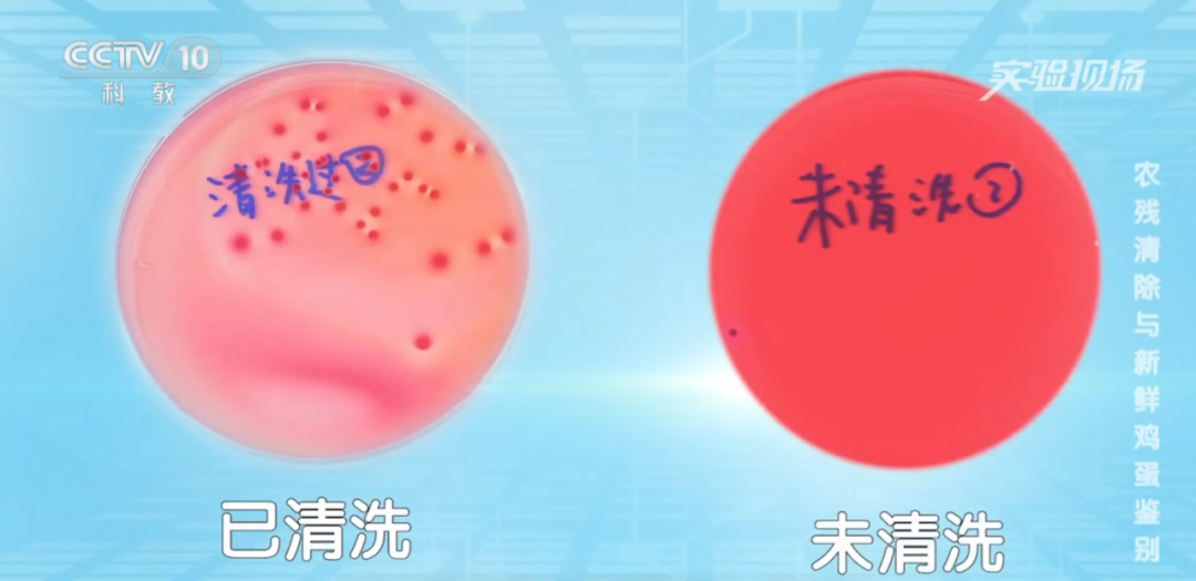 91456b1e1784736572d6ab28e6a5dc44.png