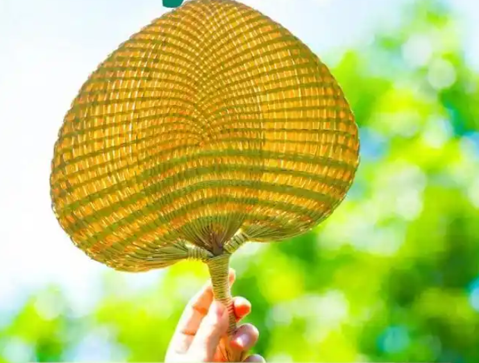 一年中最热的时候来了!大暑时节推荐这样吃→